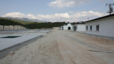 Sokak Hayvanlarımızı Güvence Altına Alıyoruz