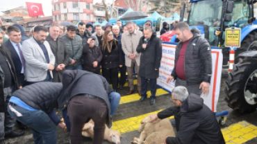 Hayır Kurbanlarımızı Kestik