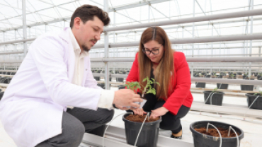 Kadın Eliyle Yetiştirilen Kırmızı Altın Lezzetler