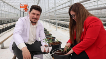 Kadın Eliyle Yetiştirilen Kırmızı Altın Lezzetler