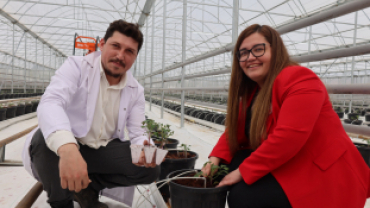 Kadın Eliyle Yetiştirilen Kırmızı Altın Lezzetler