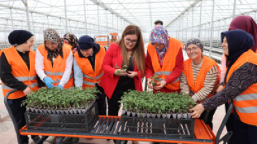 Kadın Eliyle Yetiştirilen Kırmızı Altın Lezzetler