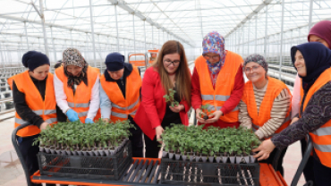 Kadın Eliyle Yetiştirilen Kırmızı Altın Lezzetler